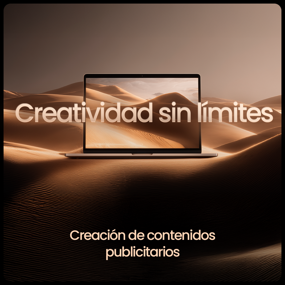 Identidad Visual