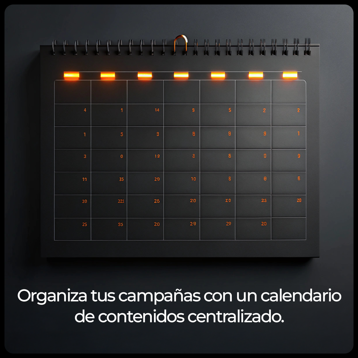 Plan Contenidos Digitales